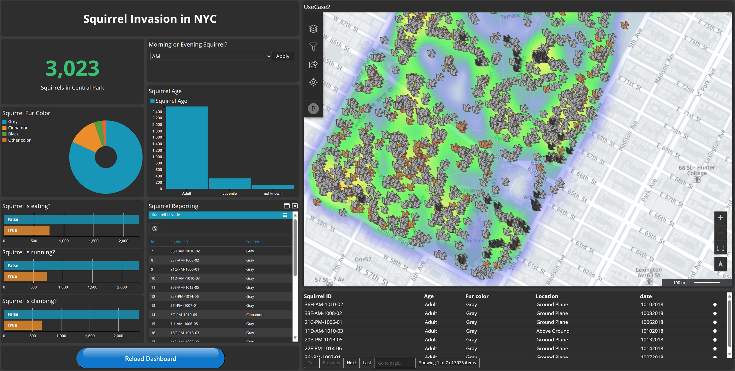 Use Case 2: Squirrel Invasion Dashboard